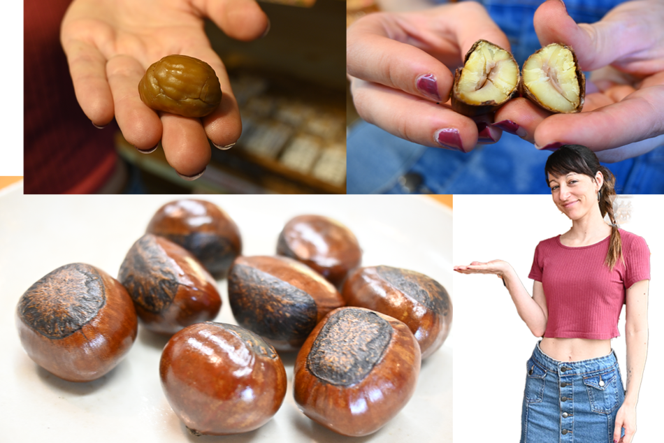 Ishii no Amaguri Kameido Branch