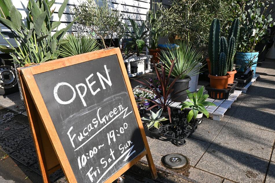 Fucasgreen 深川観葉植物店