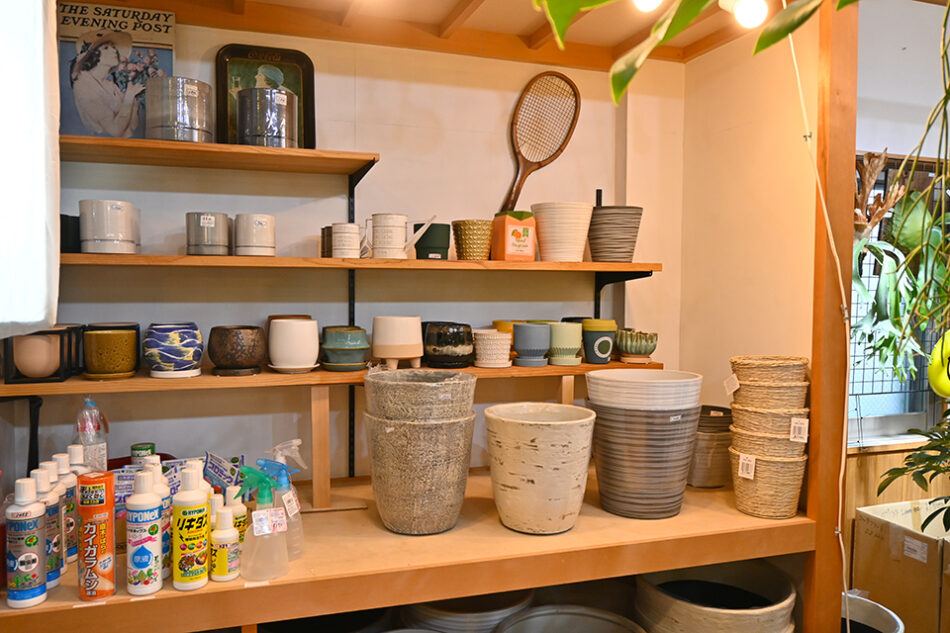 Fucasgreen 深川観葉植物店